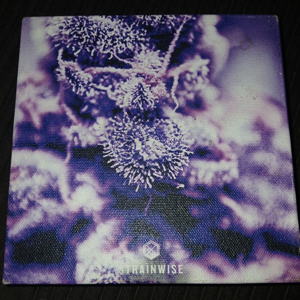 Purple Botanical Canvas Art